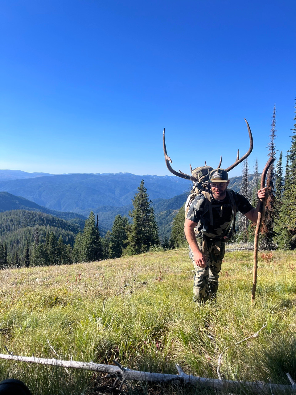 Elk hunting in Montana wilderness